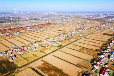 啟東鄉村游再登央視，沙地圩田文化與創新投資雙輪驅動